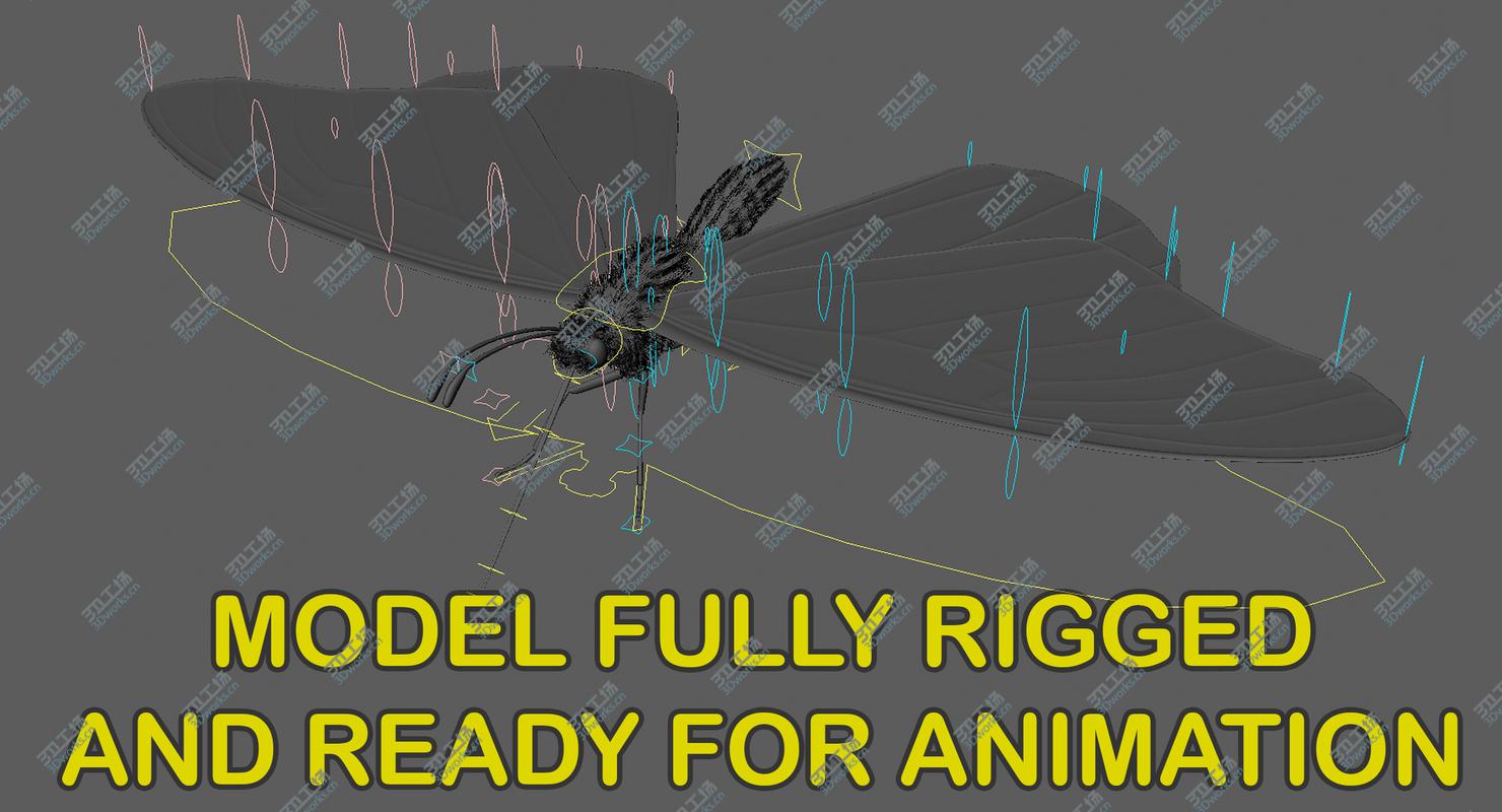 images/goods_img/202104094/Monarch Butterfly Rigged 3D/4.jpg